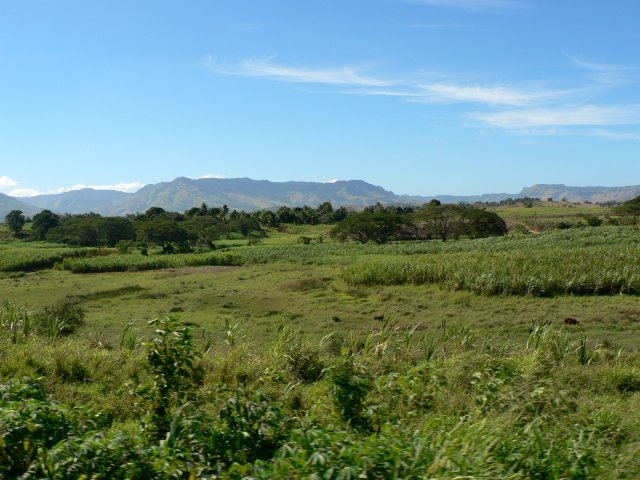 35- Paysage entre Vuda et Nadi 